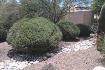 Rosales Landscaping | Landscape Design | Tucson, Arizona