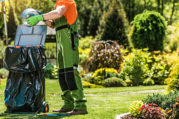 Rosales Landscaping | Spring & Fall Clean UP | Tucson, Arizona